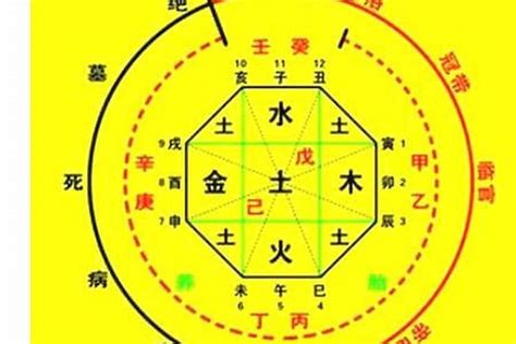 生辰八字查询|生辰八字算命、五行喜用神查詢（免費測算）